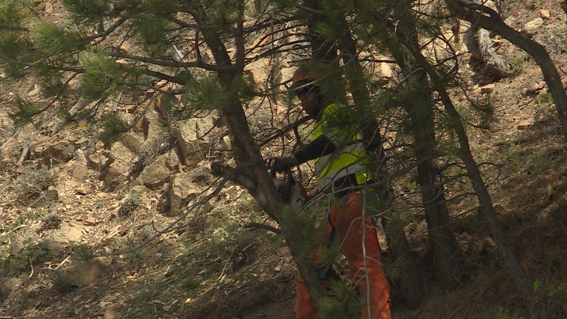CDOT ramps up fire mitigation work along Colorado mountain corridors this summer
