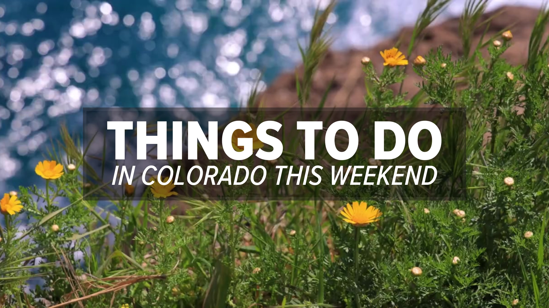 Springtime in Colorado brings the Denver March Powwow, the Denver Home Show and the NCAA tournament.