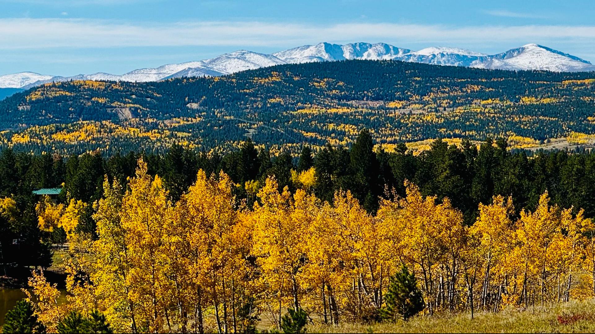 When and where to see fall leaves in Colorado