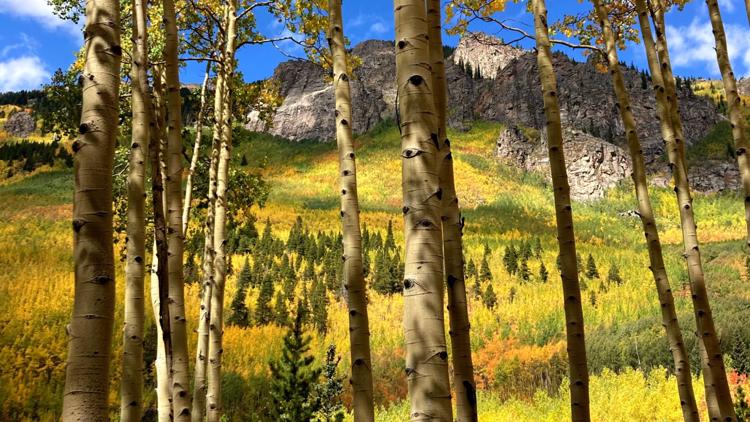 Before you go leaf-peeping in the mountains, follow these helpful tips