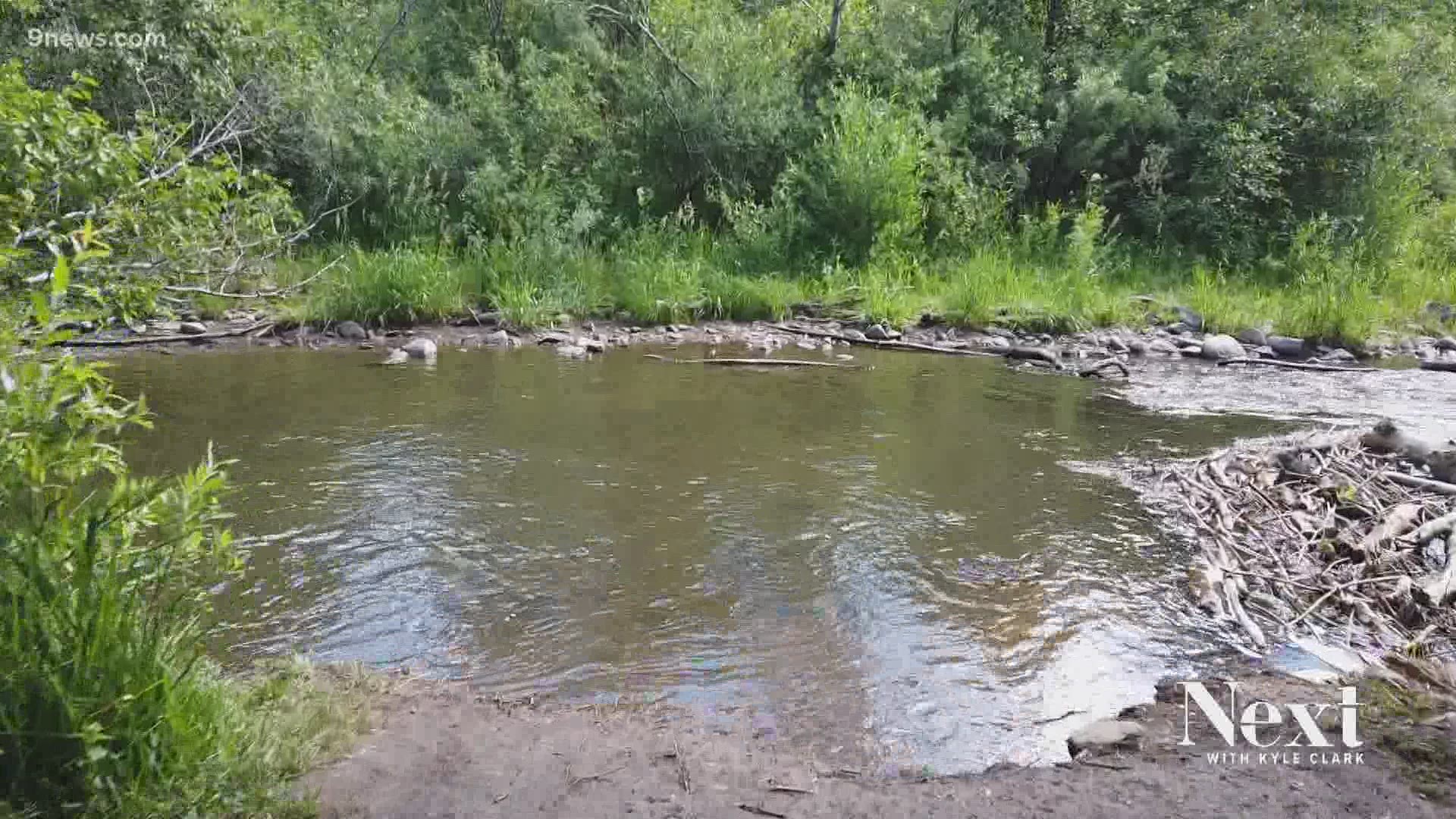The fish in Southern Colorado, particularly in the Dolores River, are so stressed that wildlife workers are asking people not to go fishing in the afternoon.