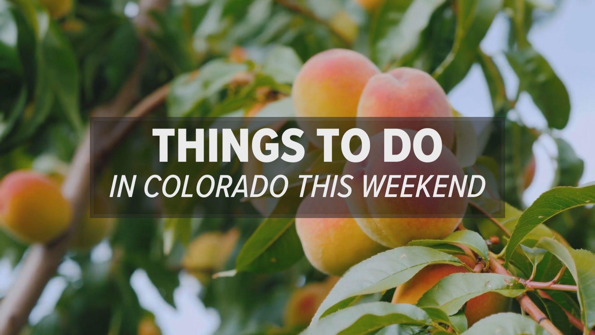 The summer isn't over yet as there are still plenty of outdoor fairs, block parties, and concerts to keep you entertained all weekend long throughout Colorado.