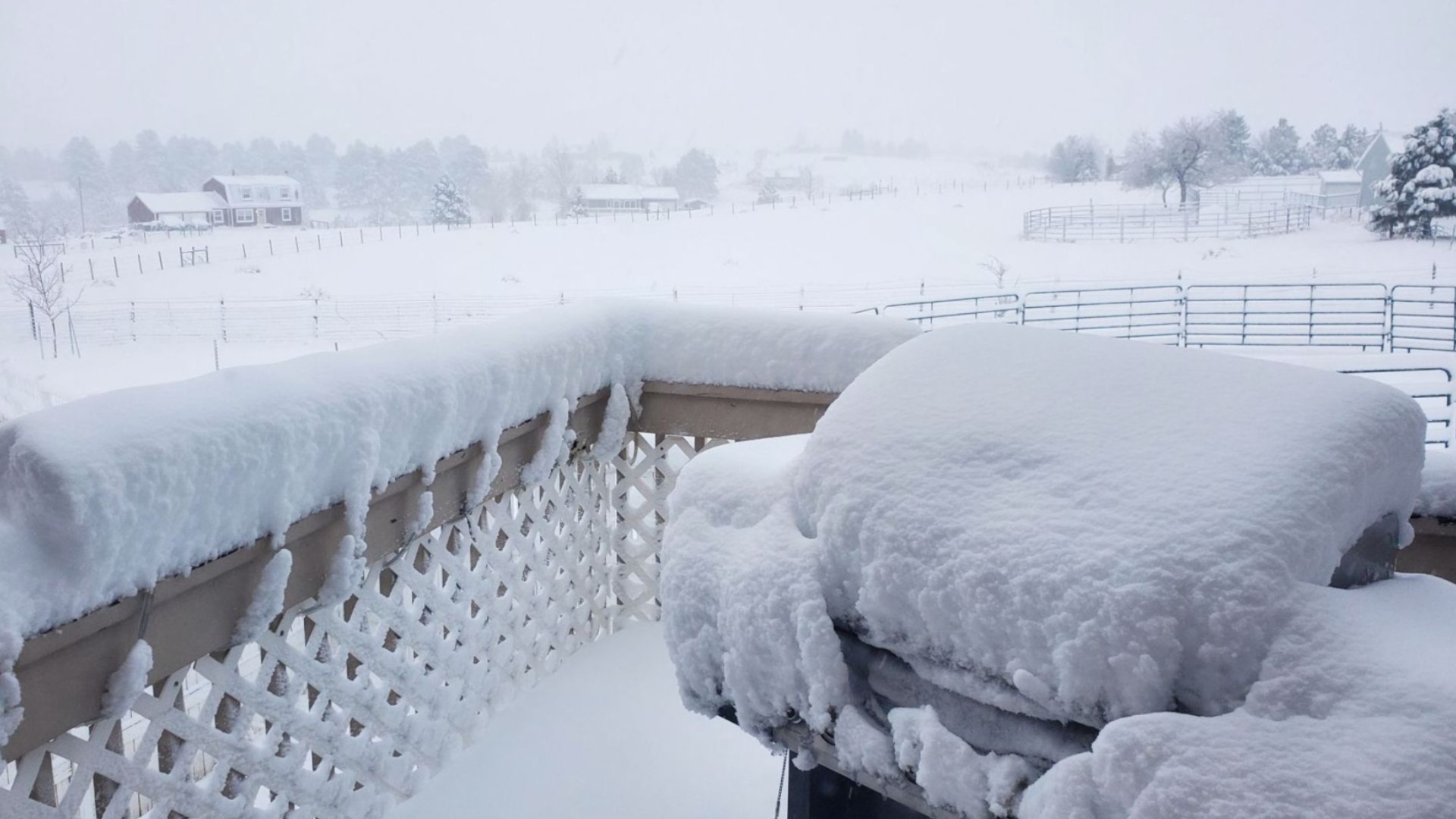 Snow Totals: Here's How Much Snow Fell In Denver And Colorado | 9news.com