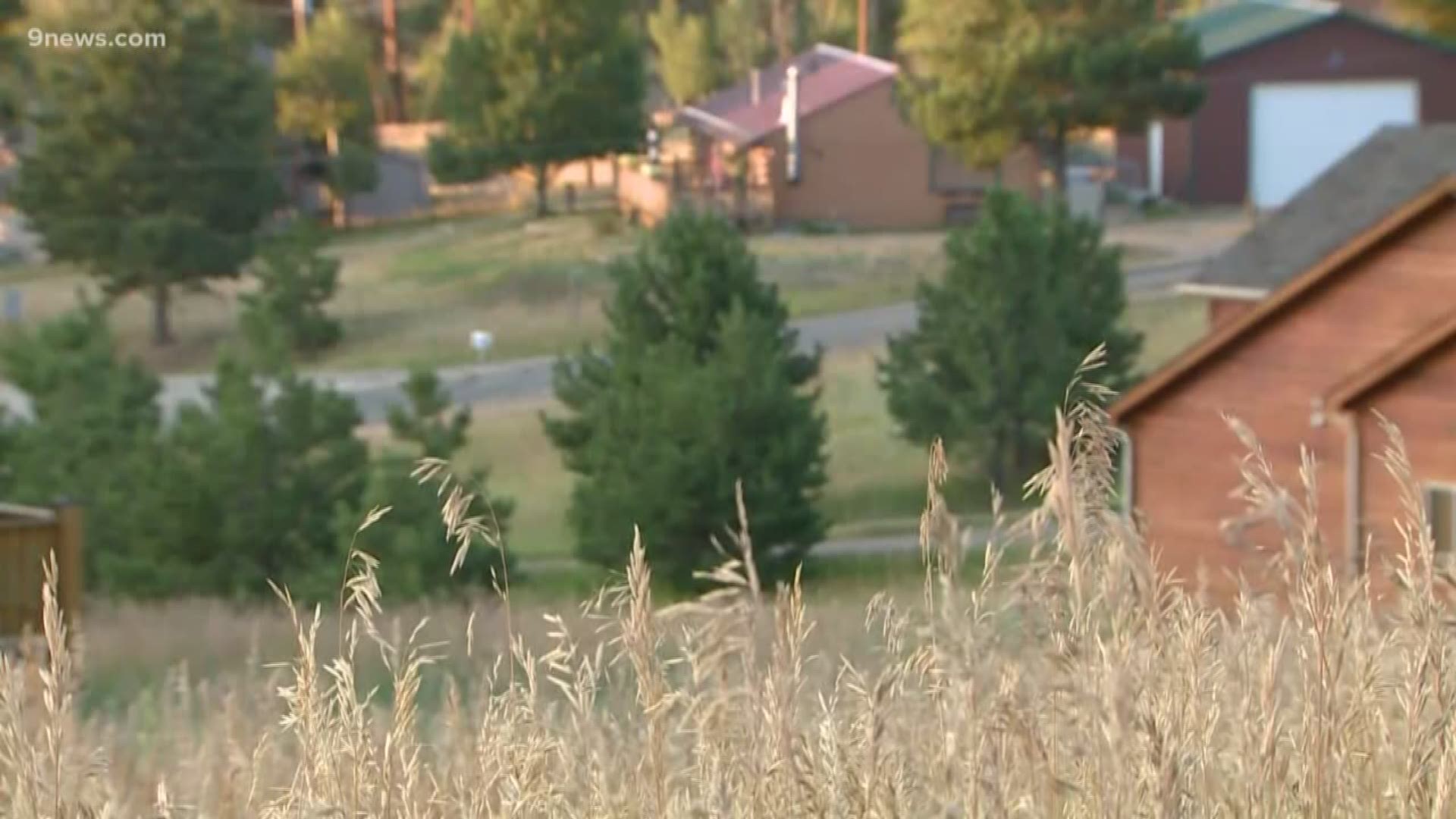 A mountain lion bit the boy's head in Burland subdivision as he ran to visit a friend, CPW said.