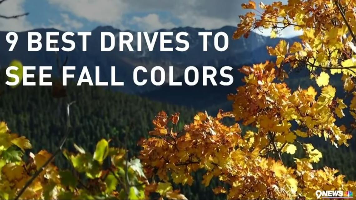 9 drives where you can see yellow fall colors in Colorado | 9news.com