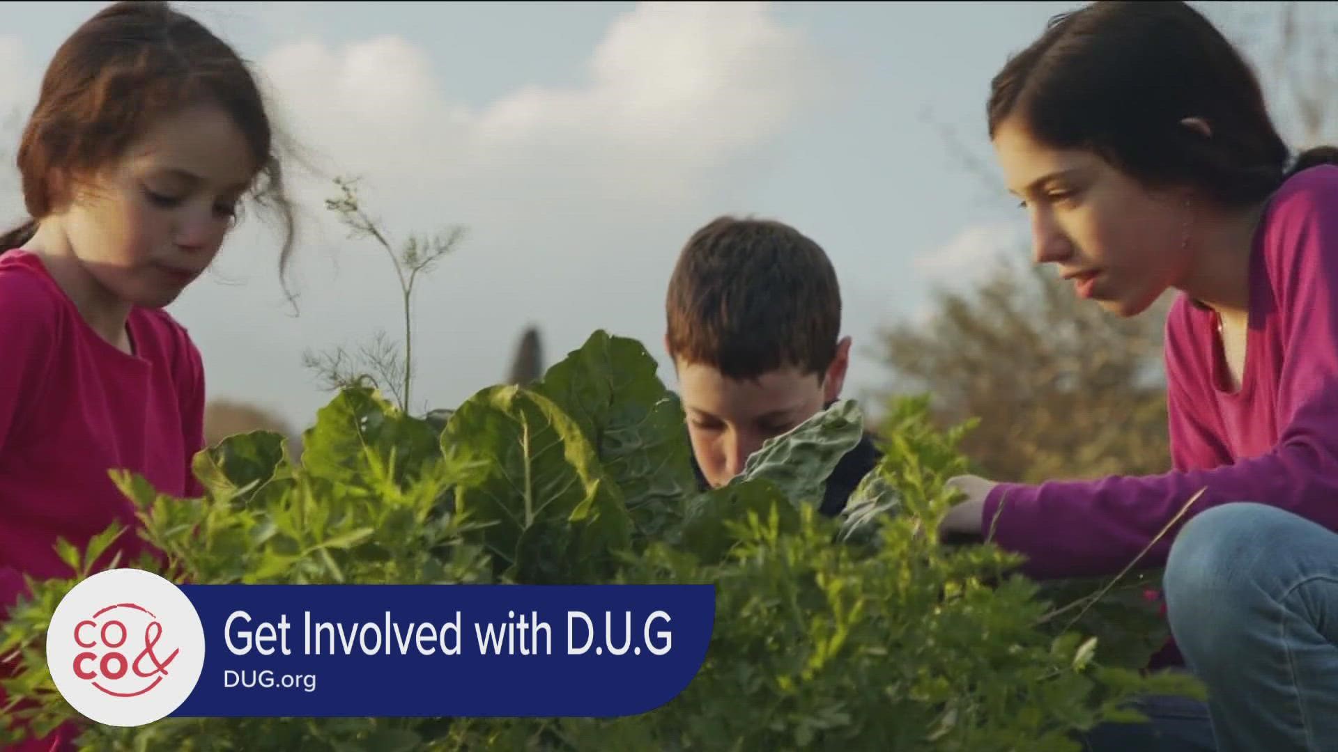 Visit DUG.org to find a garden near you and to get involved with volunteer options, classes and community events.