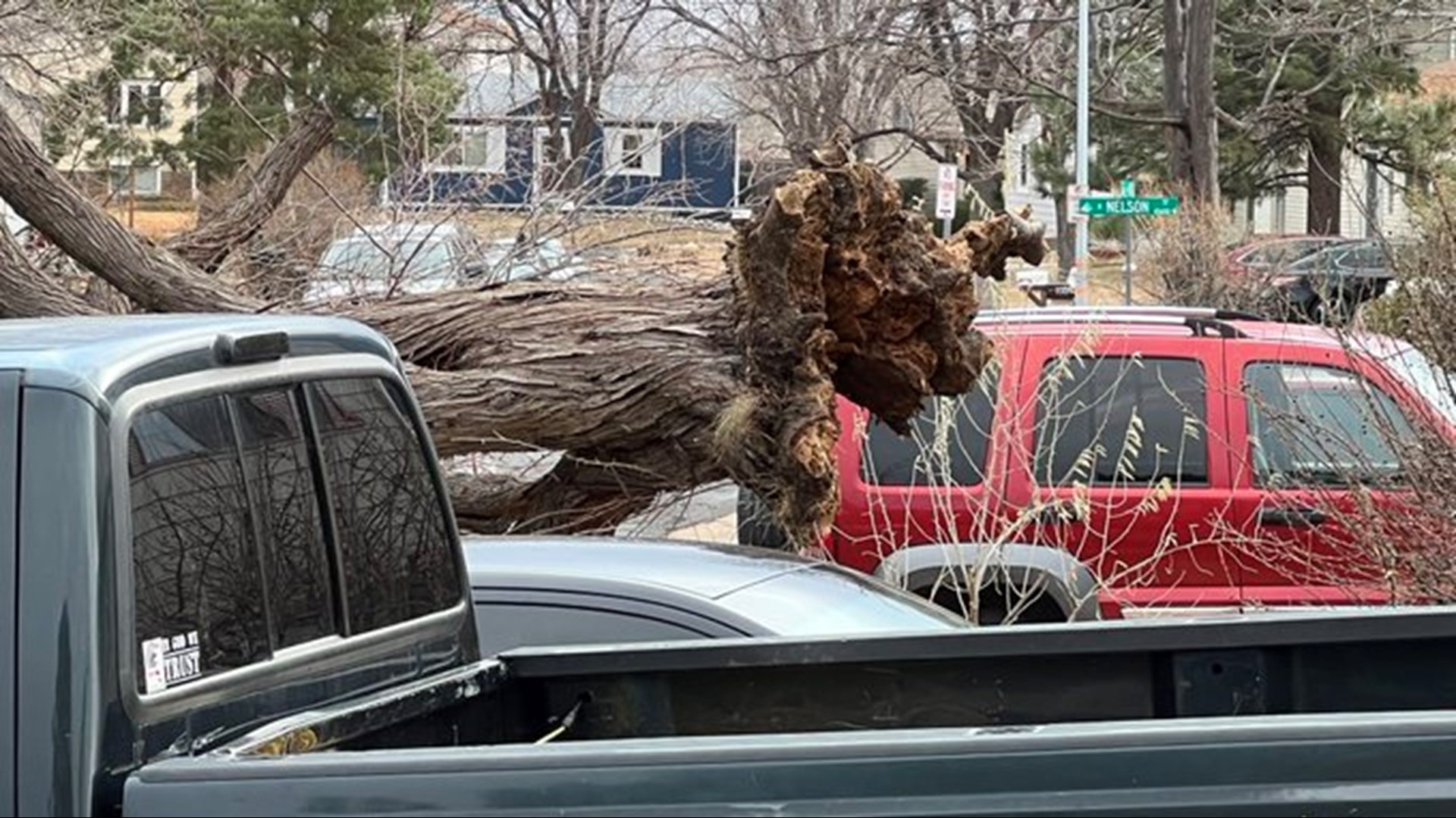 Strong winds bring down power lines, trees across Colorado | 9news.com