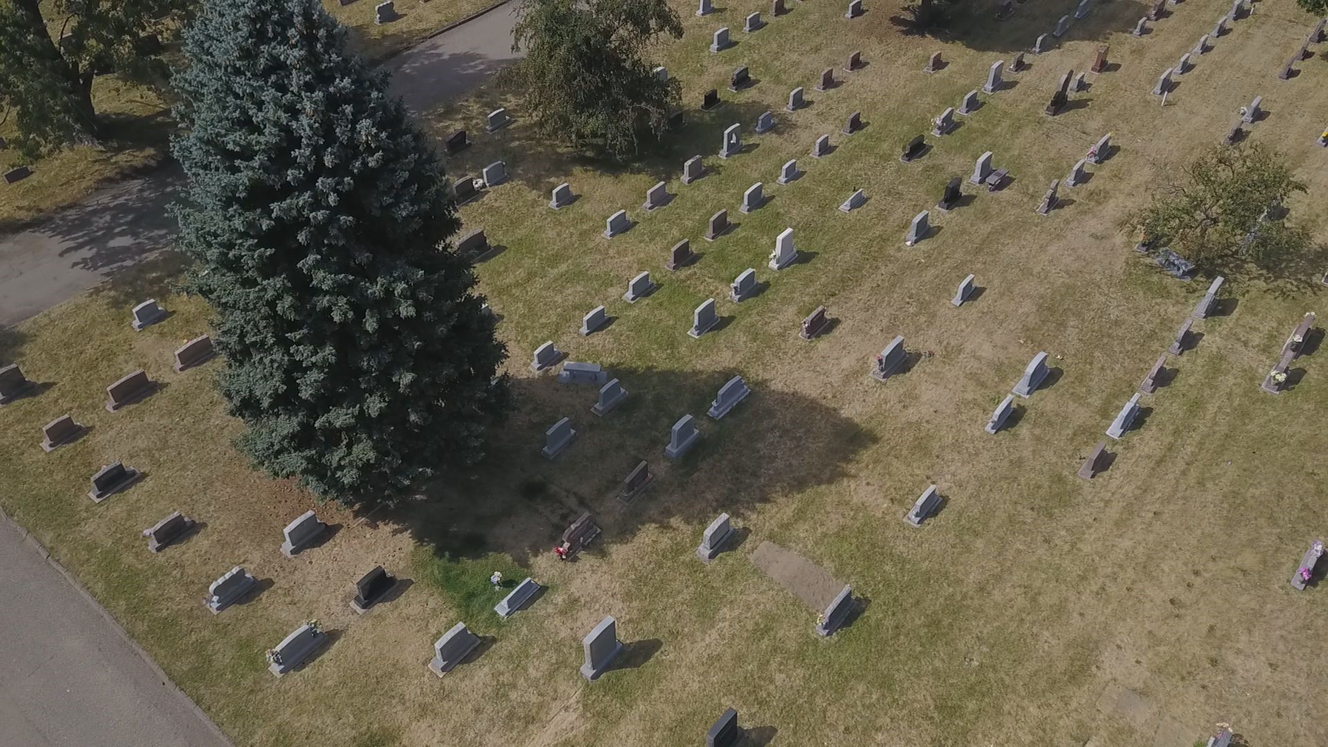 Man sentenced for fatal shooting at Wheat Ridge cemetery in 2024 ...