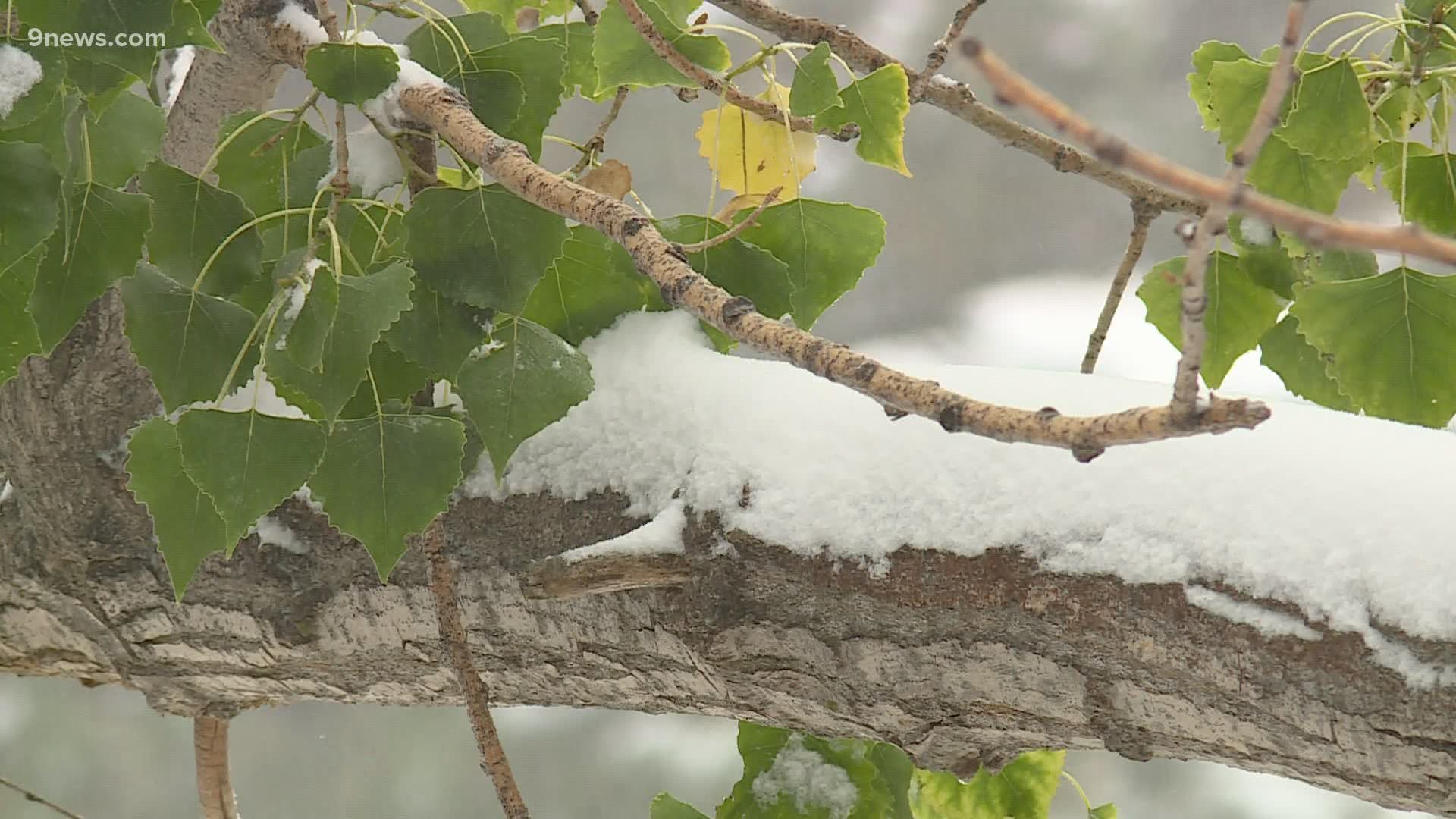 From record highs to record lows, this September has already been a wild ride.