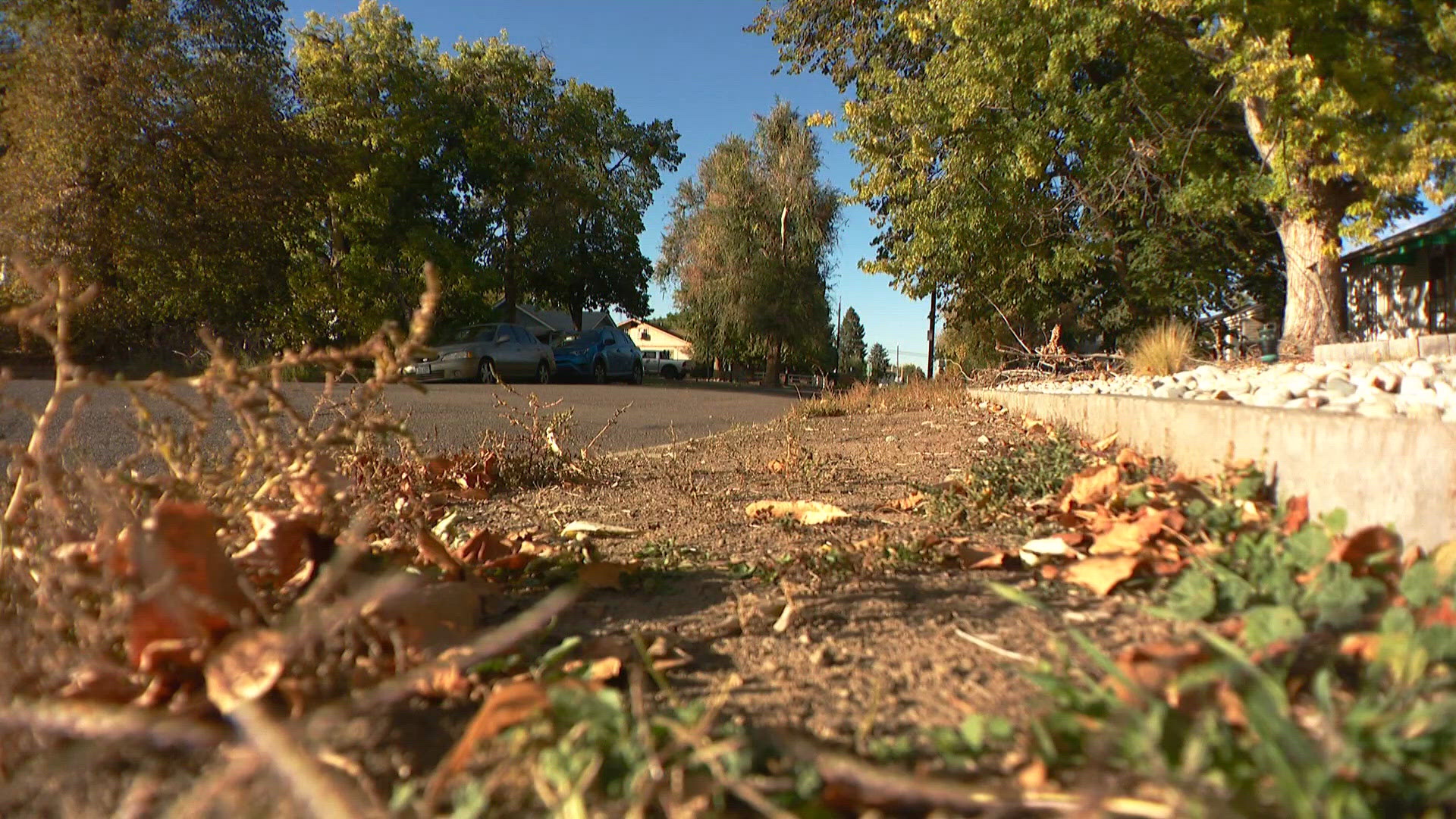Consumer Reports reveals surprising uses and risks of dish soap for ...