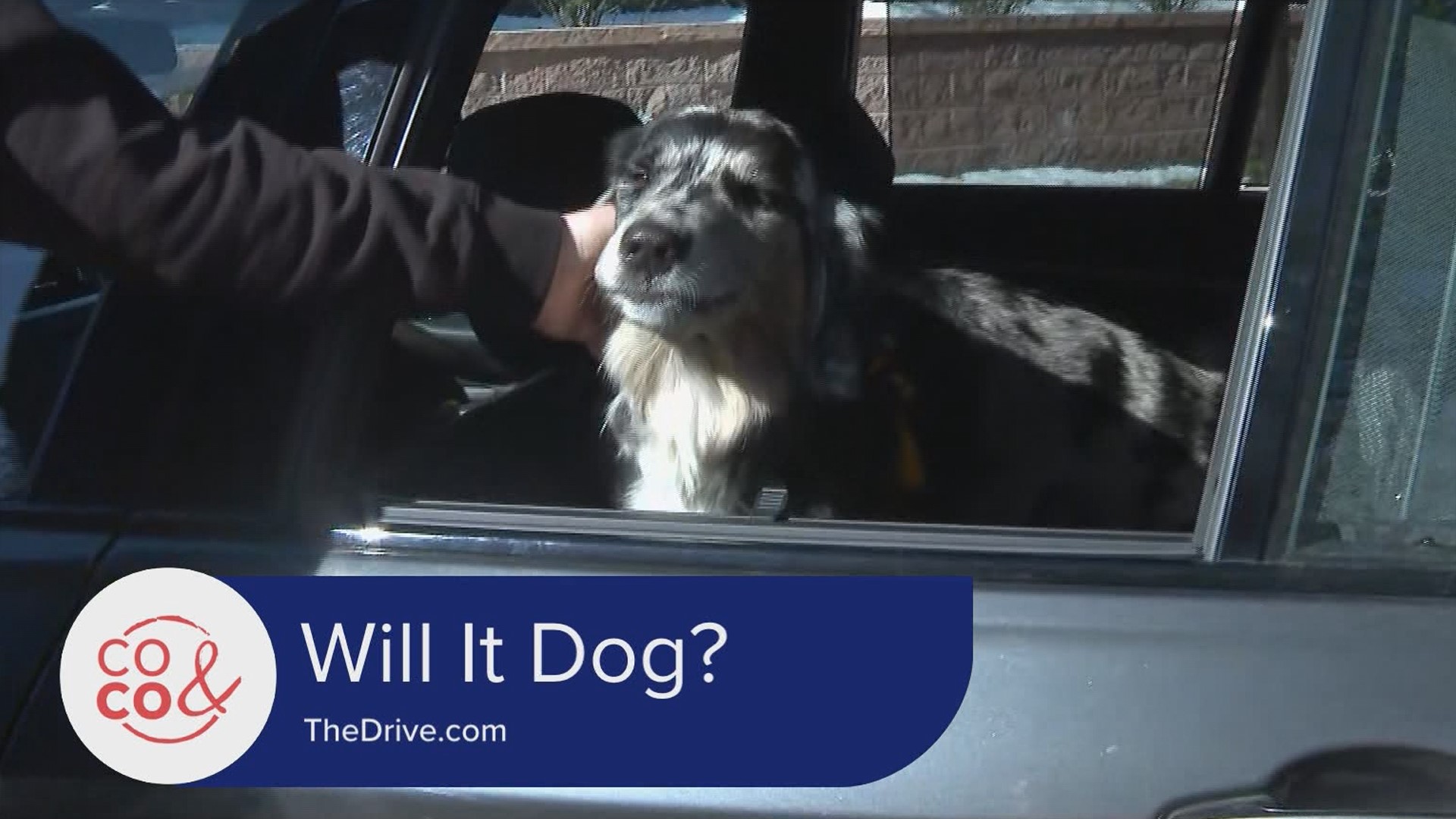 Does your car dog? To see the entire "Will It Dog?" series go to TheDrive.com and subscribe on you tube.