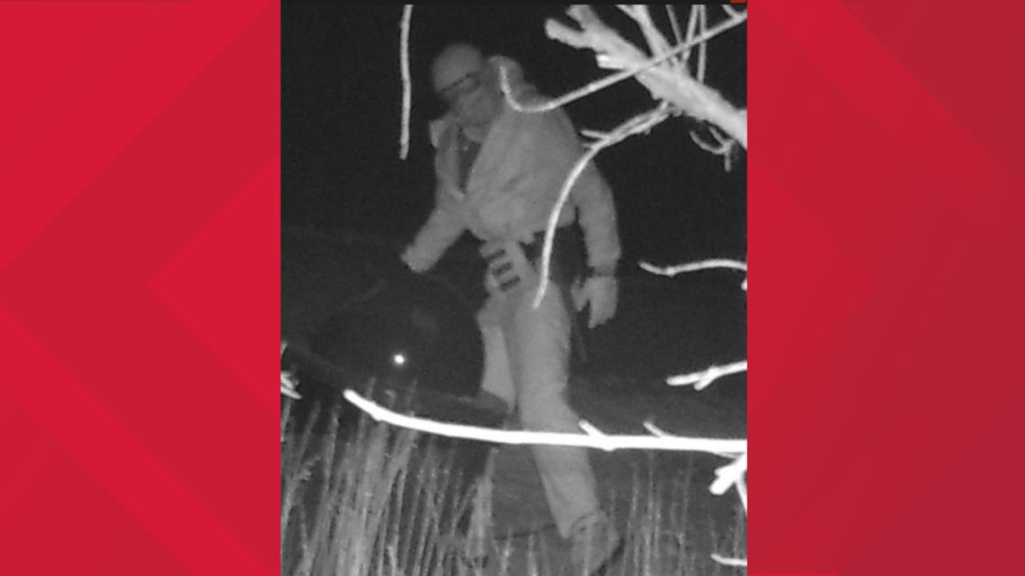 Vandalism News Image