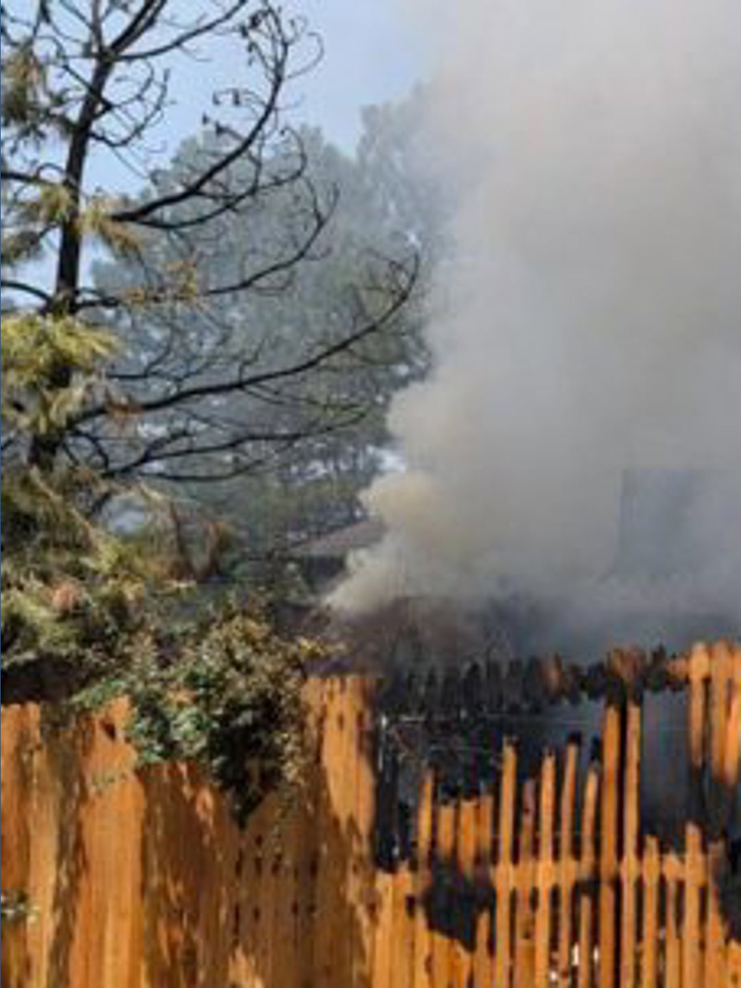 1 person hurt, dog killed in fire in Douglas County | 9news.com