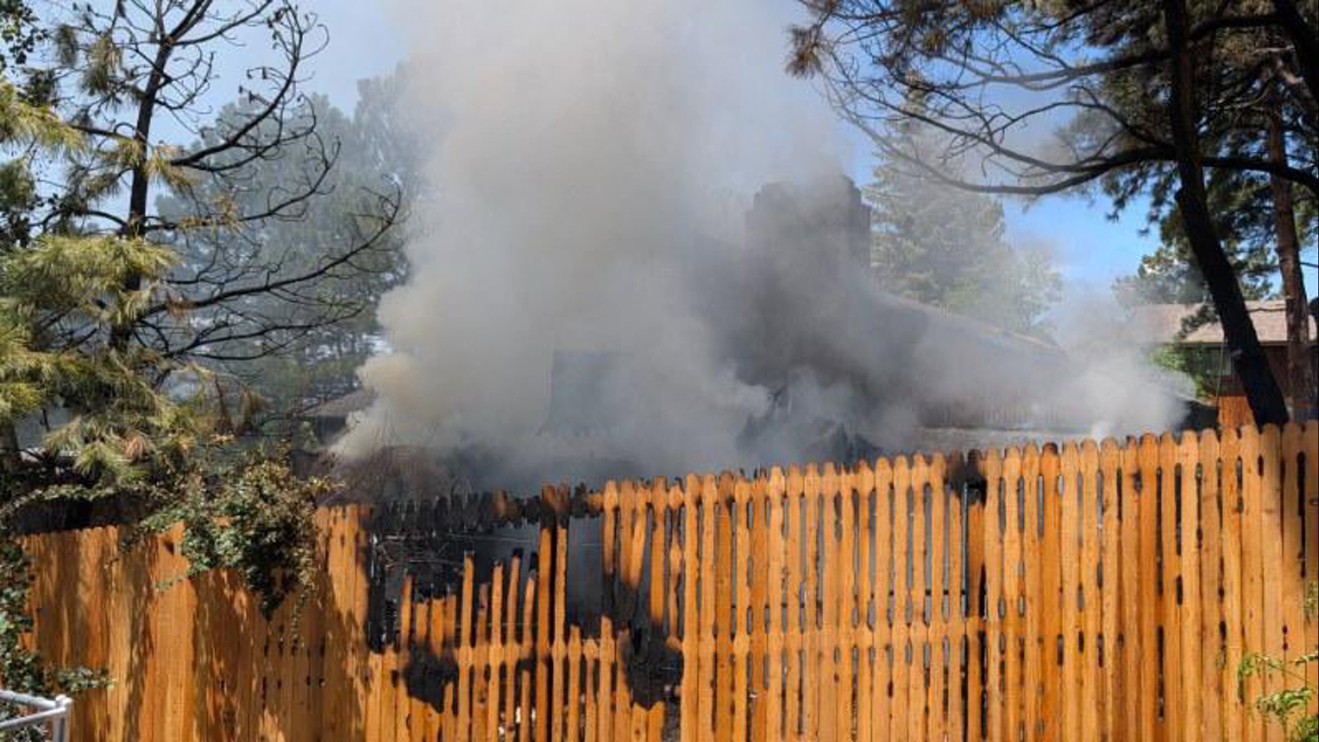 1 person hurt, dog killed in fire in Douglas County | 9news.com