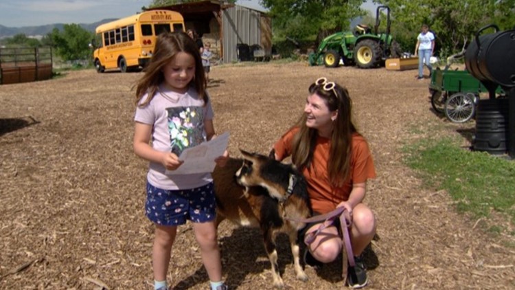 Animal pen-pal program is helping kids deal with pandemic issues