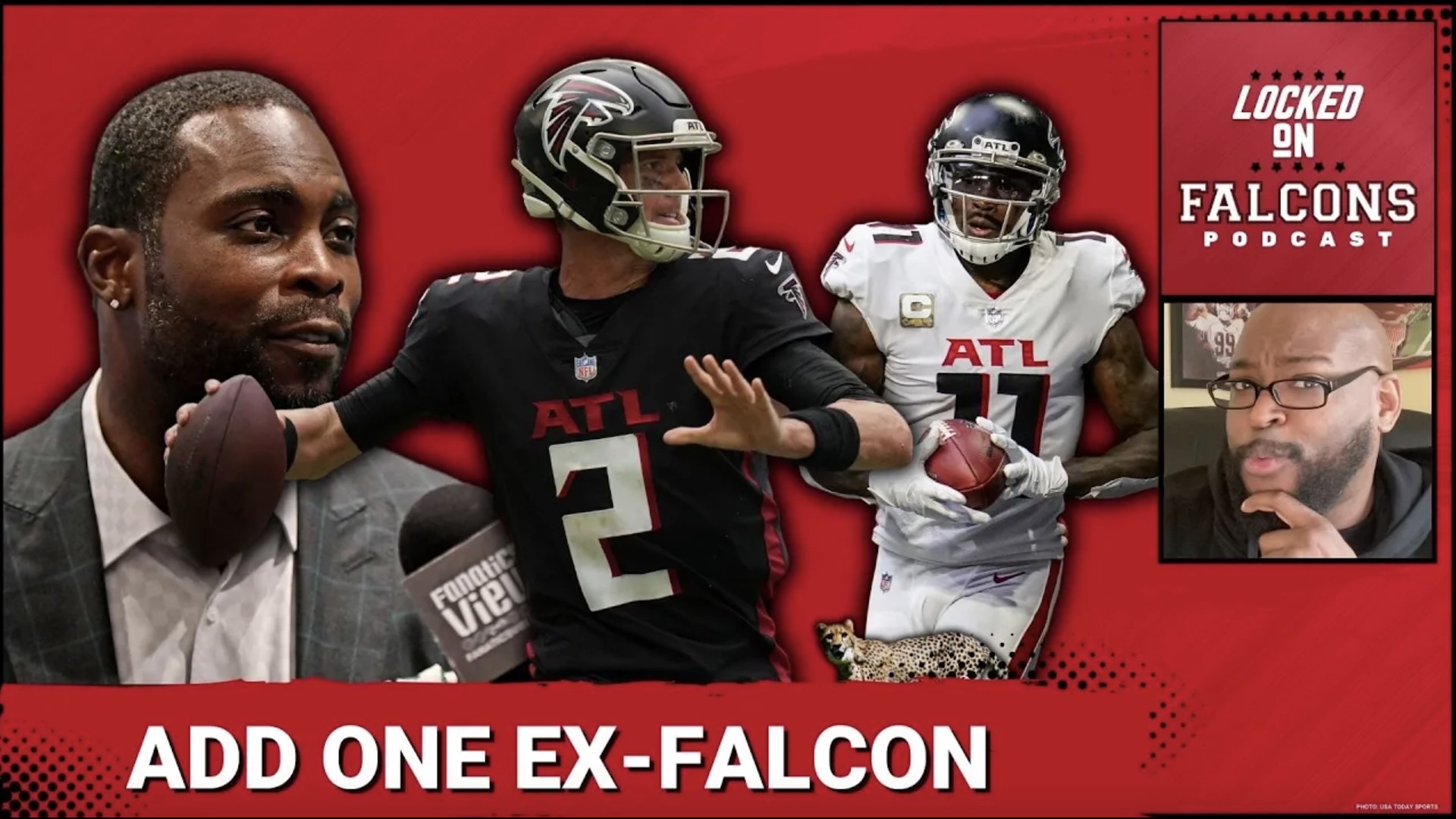 Atlanta Falcons, Sports team