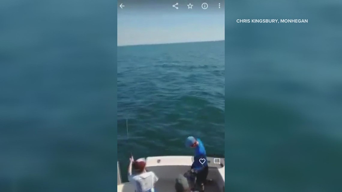 Mako shark jumps into fishing boat near Maine - Vimarsana News