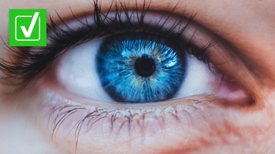 All blue-eyed people come from a shared common ancestor - Vimarsana News