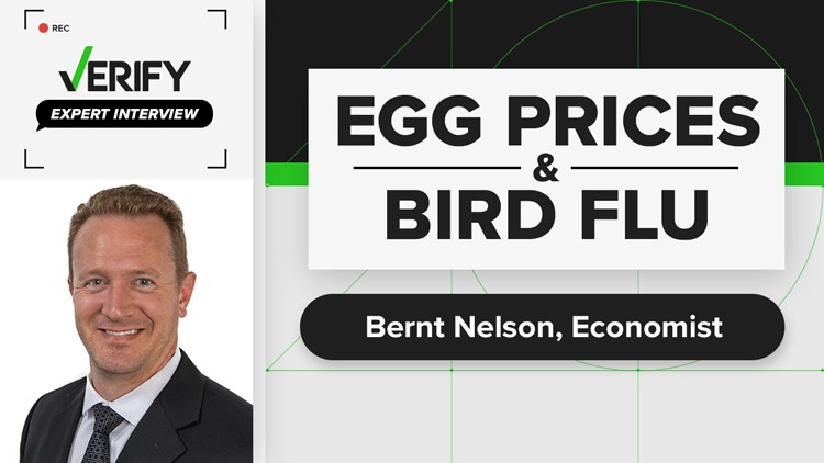 Effect of the bird flu on rising egg prices | Expert Interview with Bernt Nelson