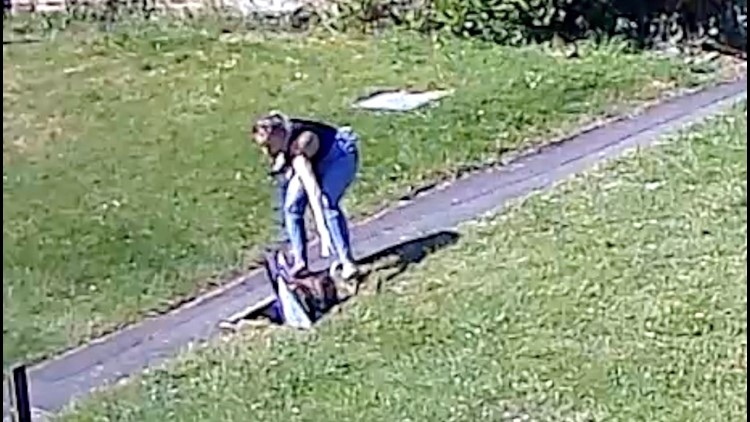 CCTV Camera Captures Moment Toddler Falls Down Sewer Drain and Mom Rescue