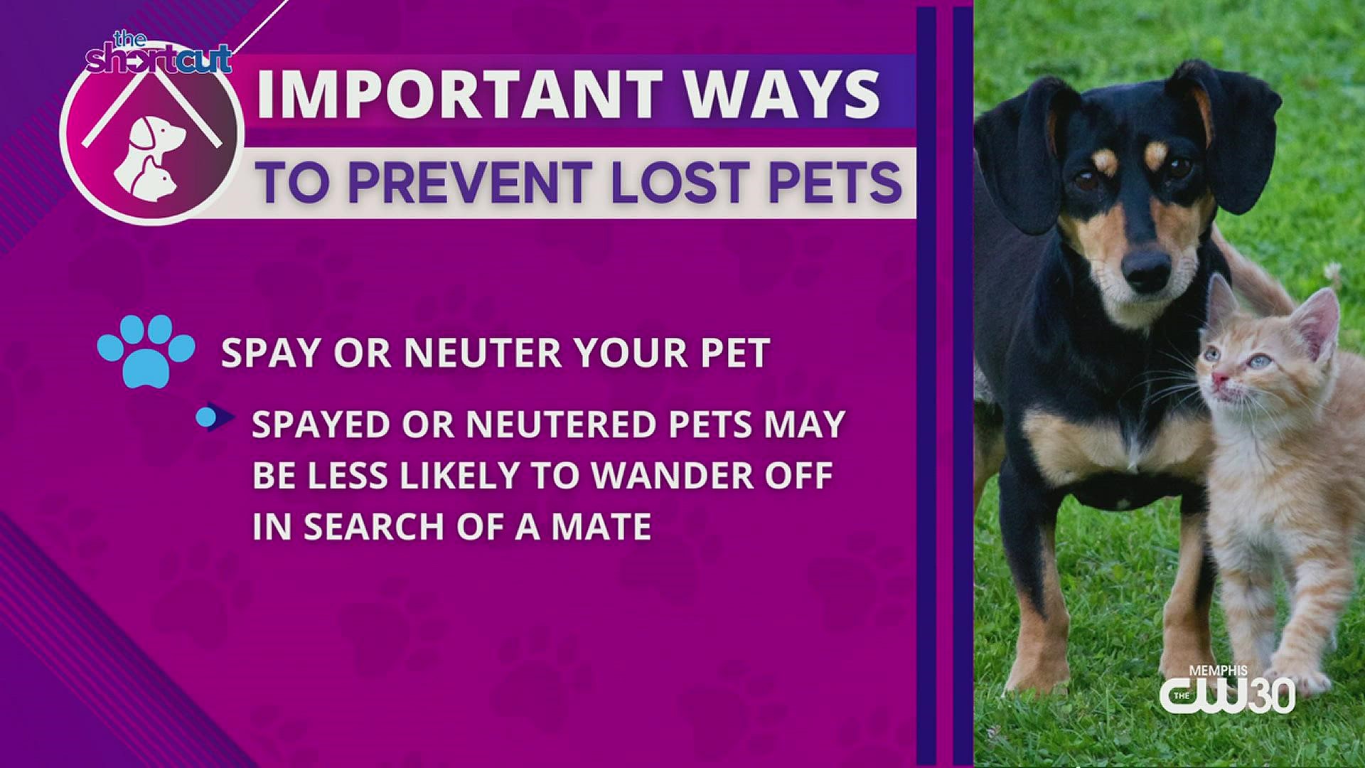 Don't wait until it's too late! Join Sydney Neely of "The Shortcut" and Katie Pemberton of Memphis Animal Services for tips on how to prevent lost pets and more!