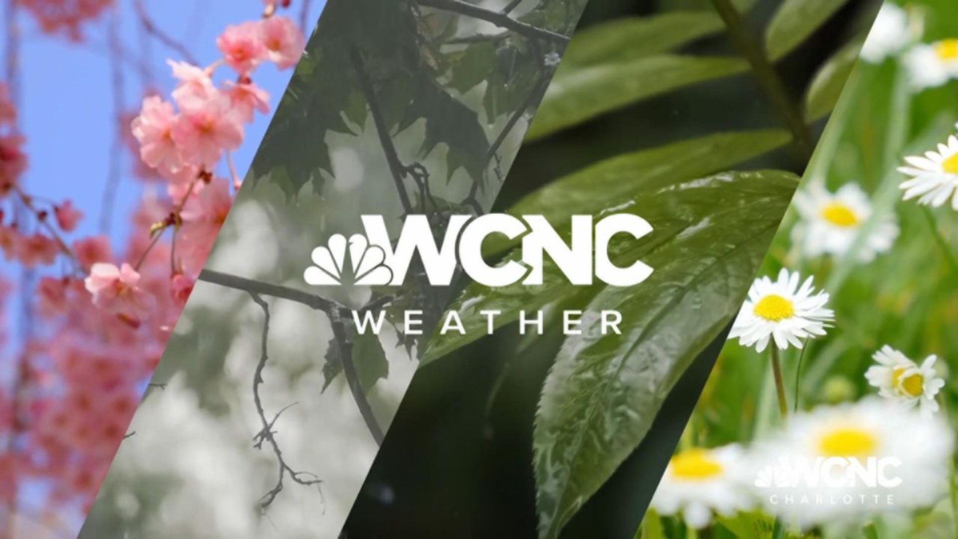 You can weather any storm with Chief Meteorologist Brad Panovich and the WCNC Charlotte weather team.