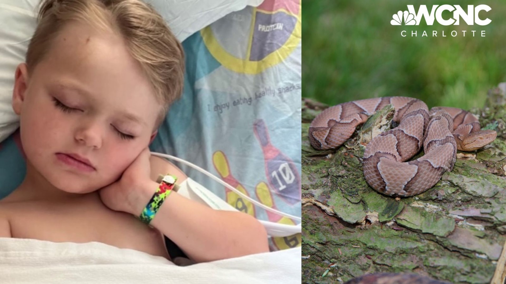 A 4-year-old boy was bit by a copperhead while his family was on vacation in the North Carolina mountains. Doctors say the family's quick actions saved his life.