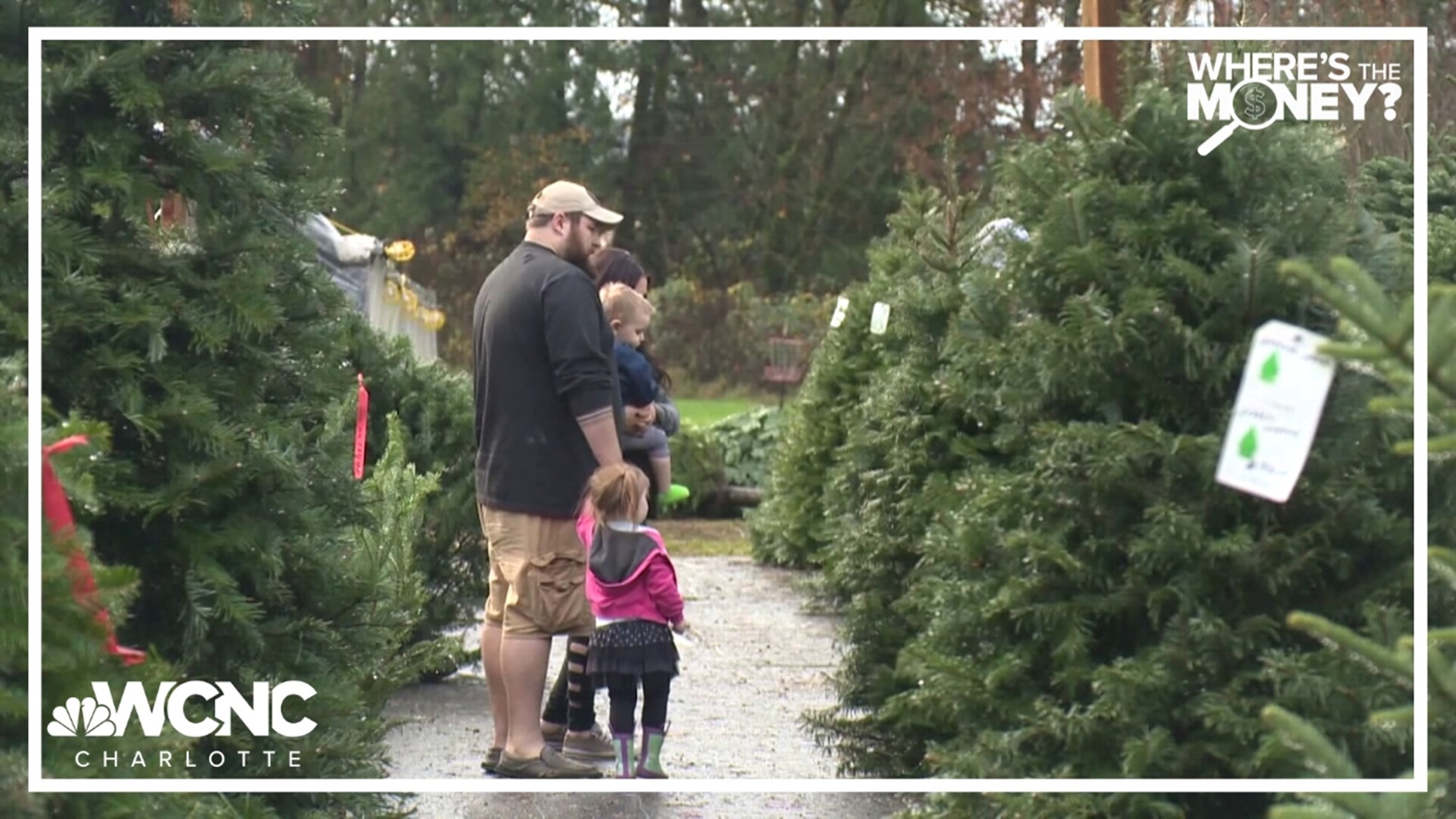 Christmas tree prices are up by 10% over last year.