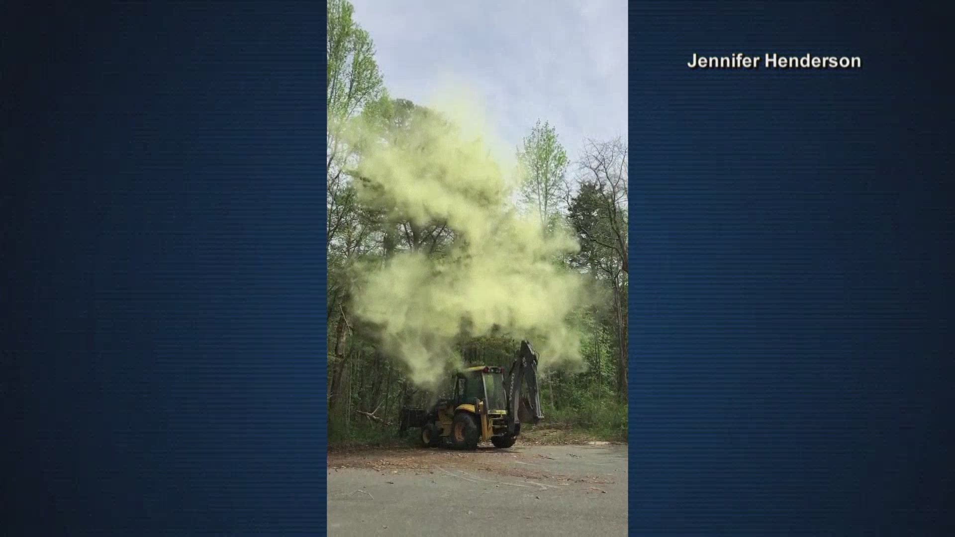 MUST SEE-Amazing video of pollen coming off a tree in Millville, New Jersey.
