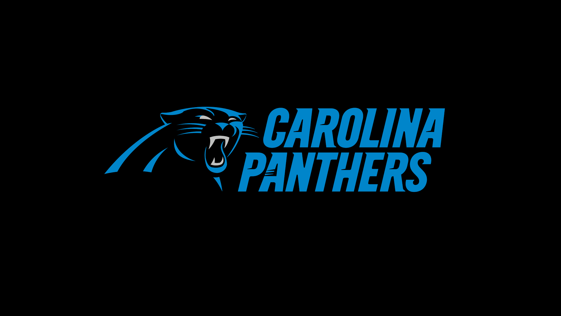 Carolina Panthers preview for 2020 NFL season | 9news.com