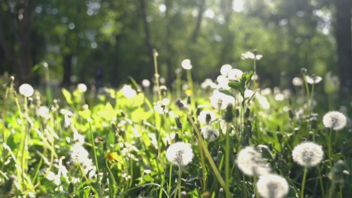 Colorado city ranks among the worst for allergies