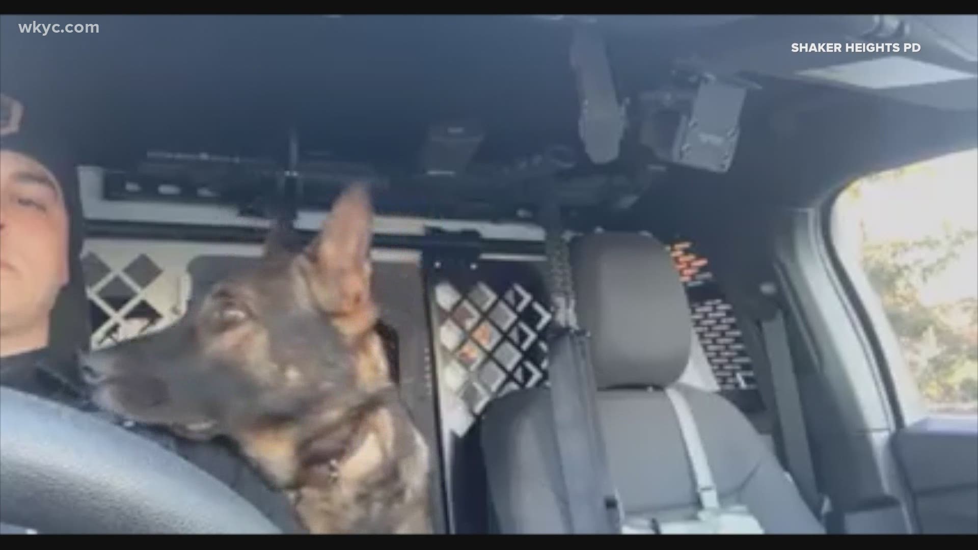 It is time for our worth the watch video of the day.  Igor, one of the Shaker Heights' K9's loves country music.  He loves to sing with Eric Church.  Take a listen.