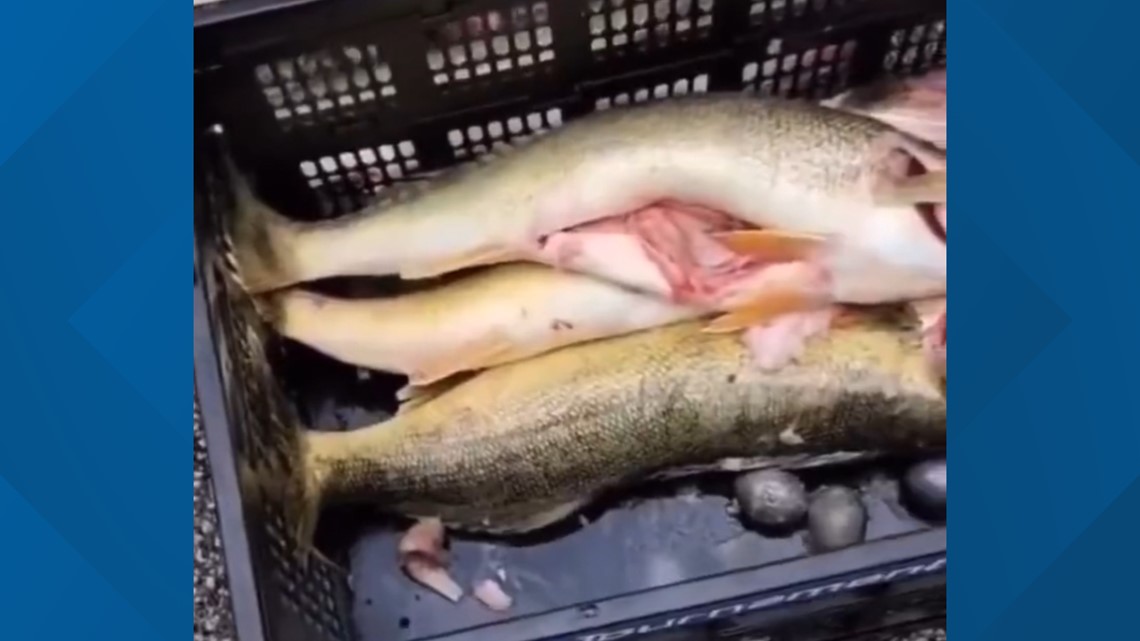 Cleveland fishing tournament cheating scandal: 2 men charged - Vimarsana News