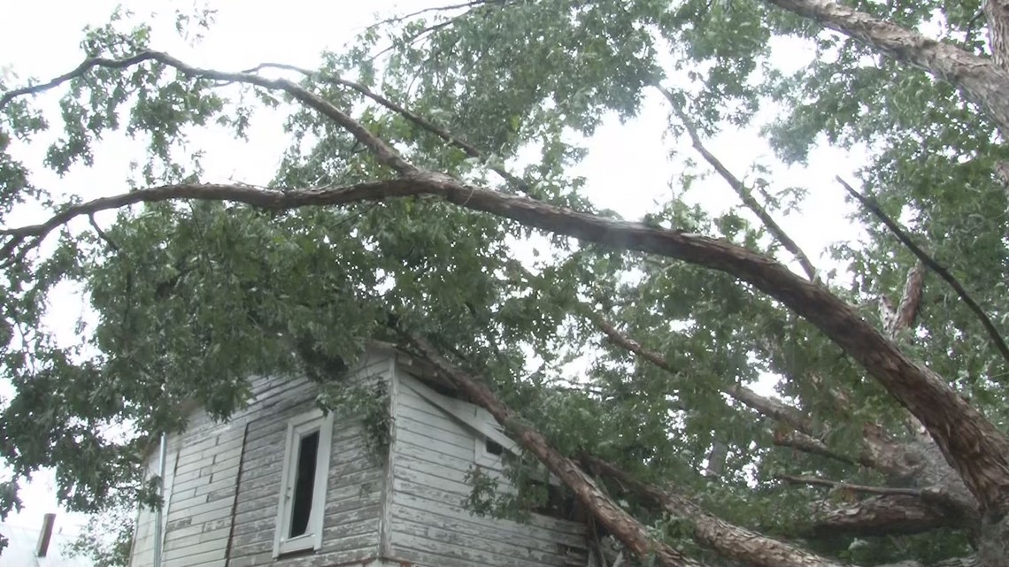 Irma's Winds Lead to Power Outages, Downed Trees in the Midlands ...
