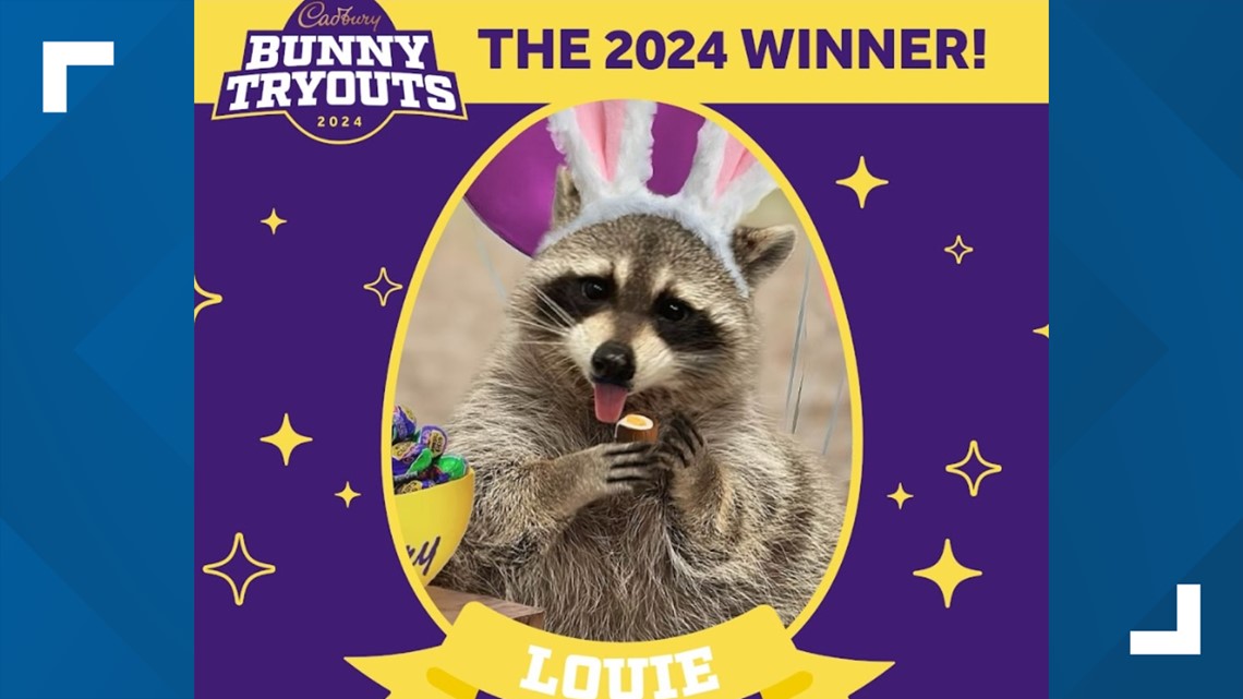 Meet the winner of Hershey's annual Cadbury Bunny Tryouts