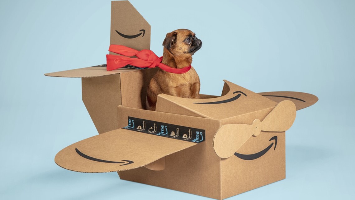 Amazon launching its first 'Amazon Pet Day' on May 2 - Vimarsana News