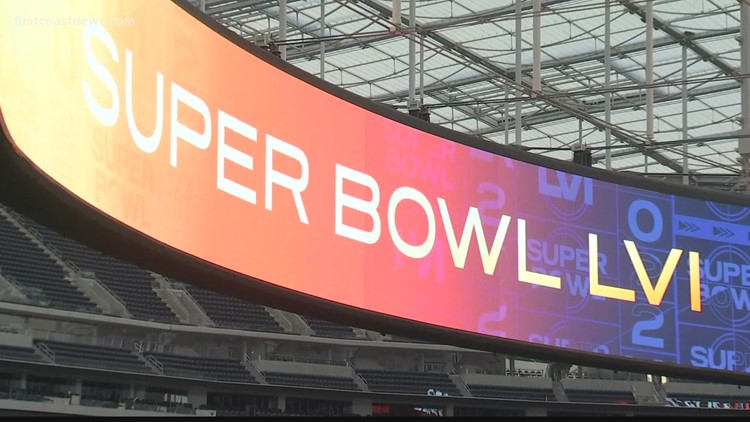 VOTE NOW: Who do you want to win the Super Bowl?
