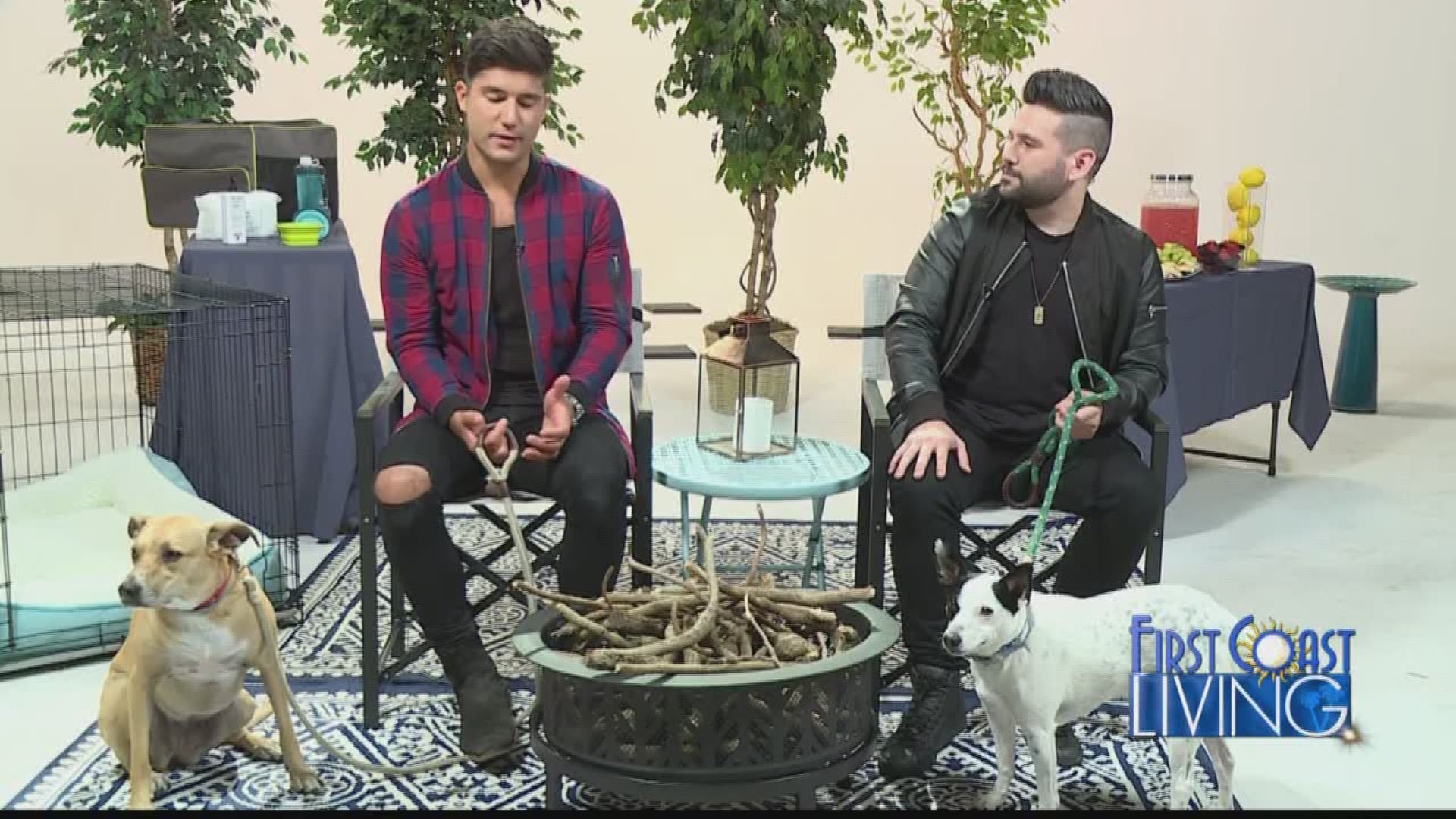 Dan and Shay Talk Travel with Pets