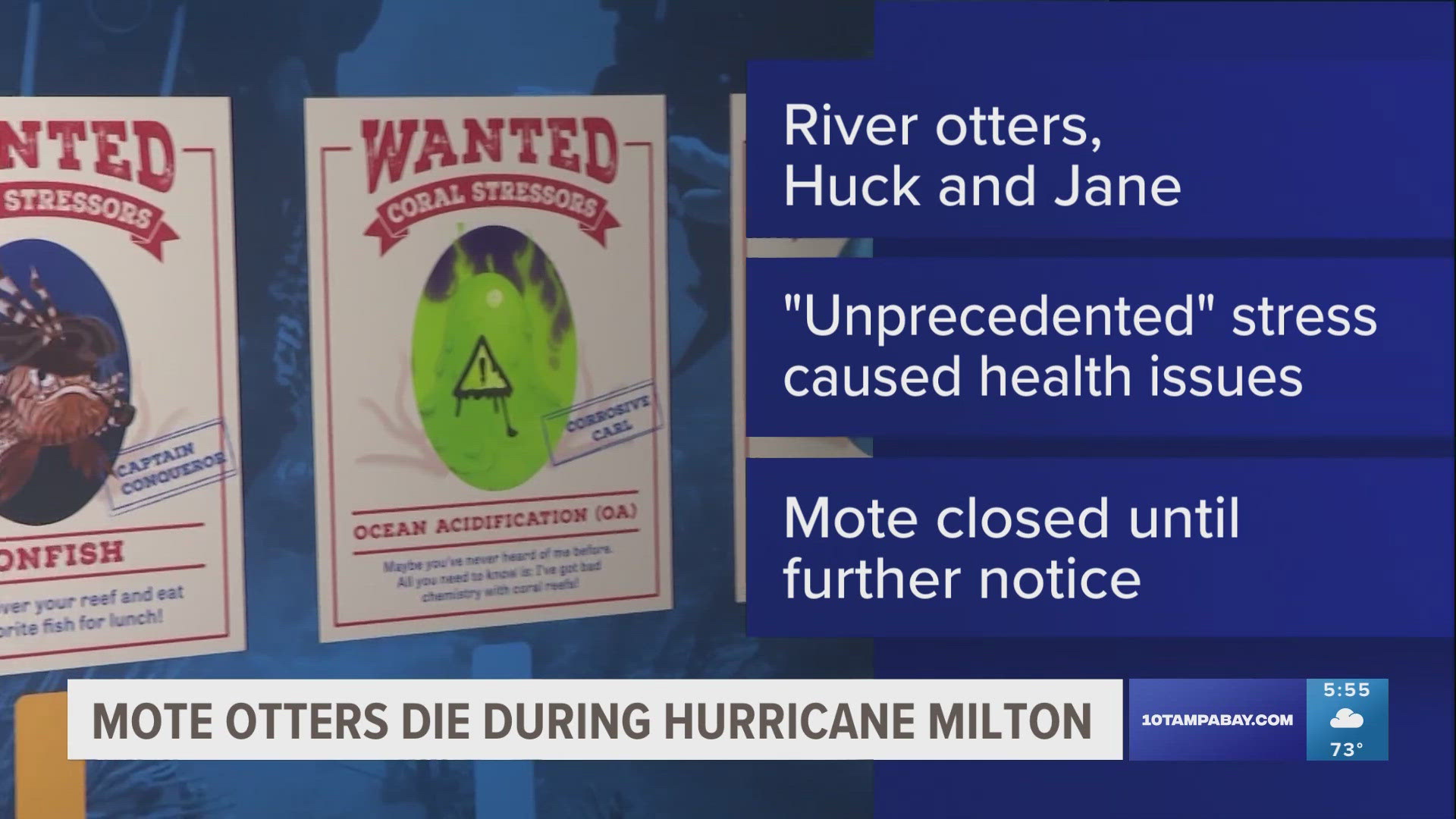 Aquarium officials said two river otters named Huck and Jane died due to health issues caused by stress from back-to-back hurricanes.