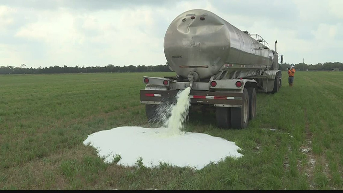 Dairy farmer is dumping 7,000 gallons of milk each day