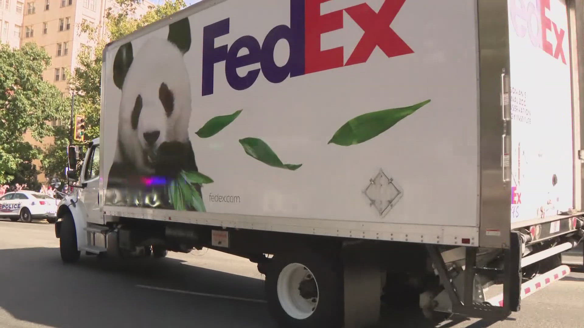 Two giant pandas arrive in Washington, DC from China | 9news.com