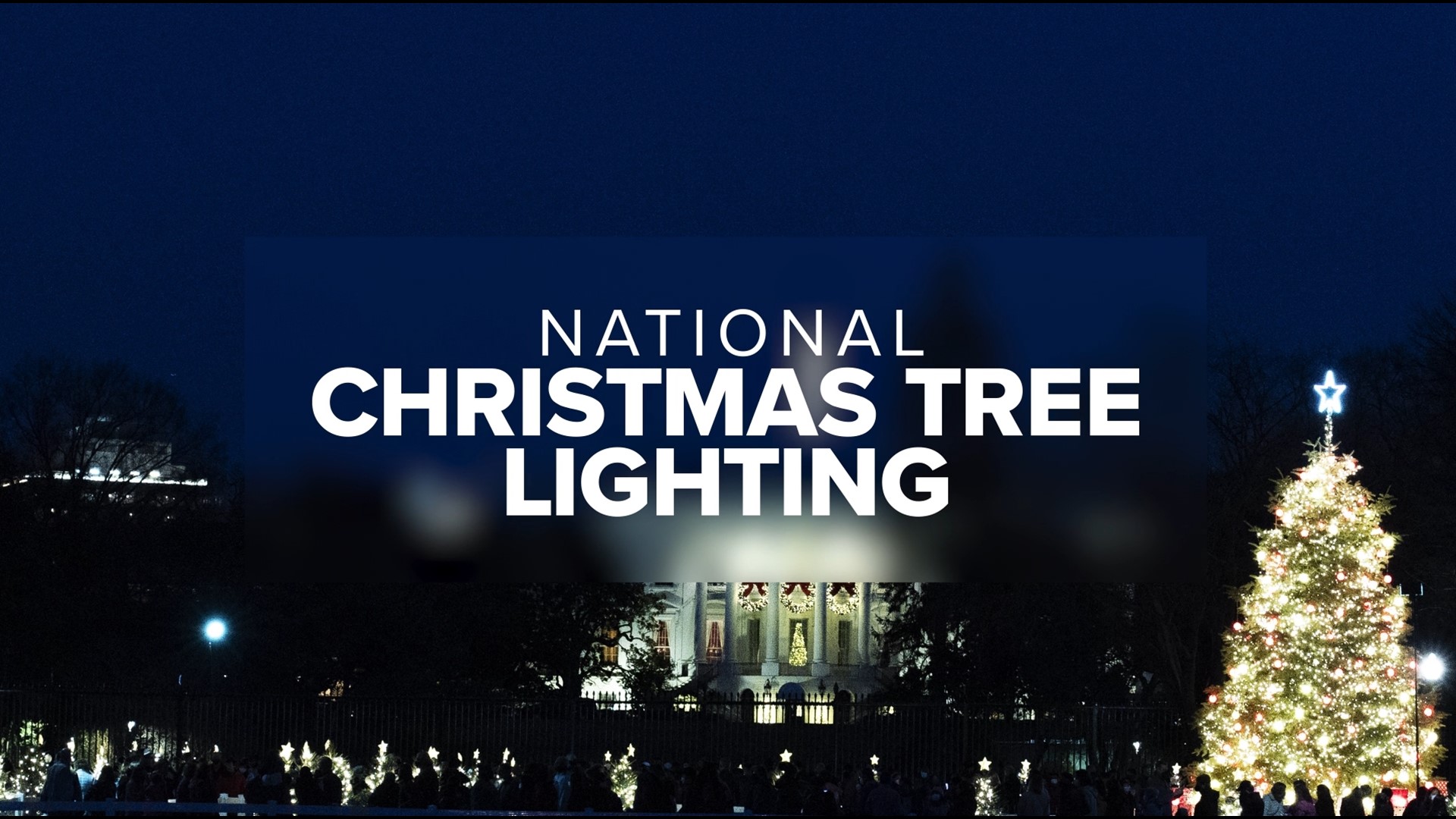 President Joe Biden and First Lady Dr. Jill Biden light the tree marking the ceremony's 100th anniversary.