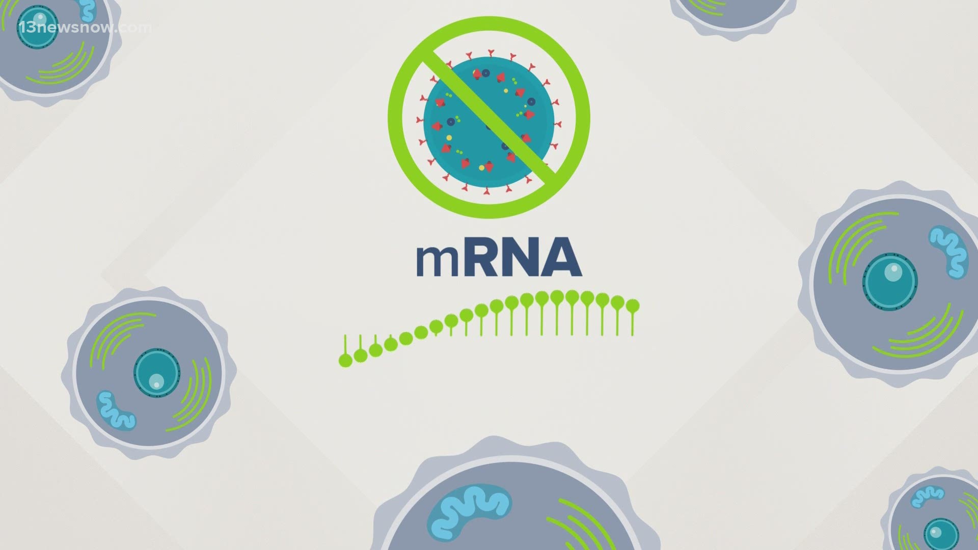 mRNA vaccines are a new type of vaccine to protect against infectious diseases.