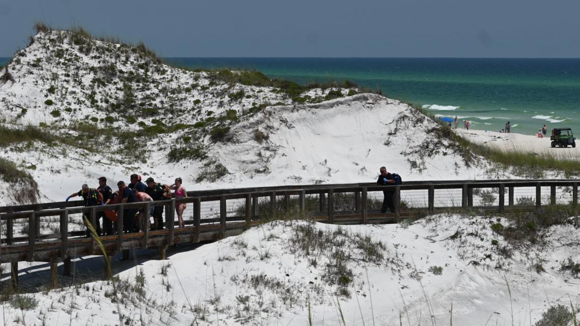 Florida deputies report woman wounded by shark at beach - Vimarsana News